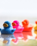 Обои Bath Ducks 128x160