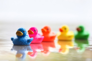 Bath Ducks - Obrázkek zdarma 