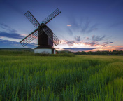 Windmill in Netherland wallpaper 176x144