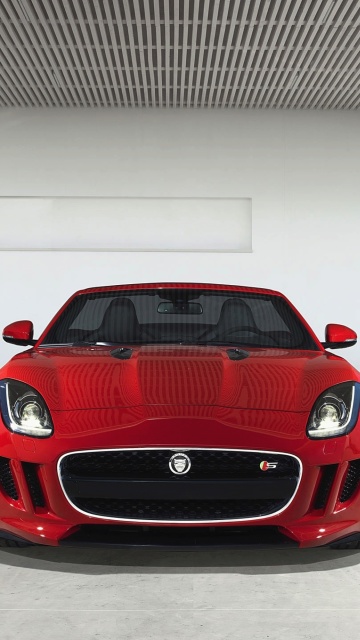 Das Jaguar F Type in Parking Wallpaper 360x640