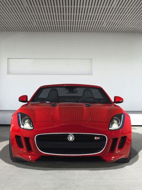 Jaguar F Type in Parking screenshot #1 480x640