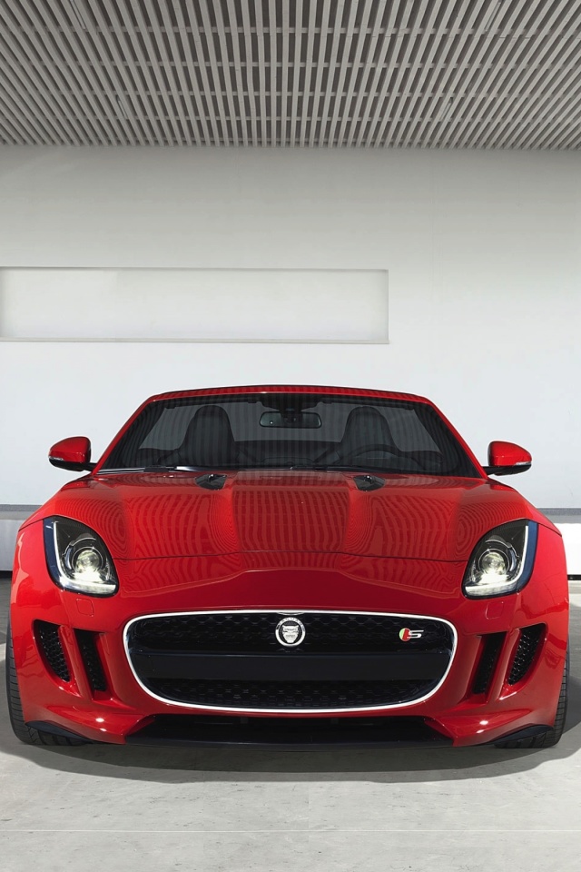 Das Jaguar F Type in Parking Wallpaper 640x960