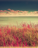 Pink Landscape screenshot #1 128x160