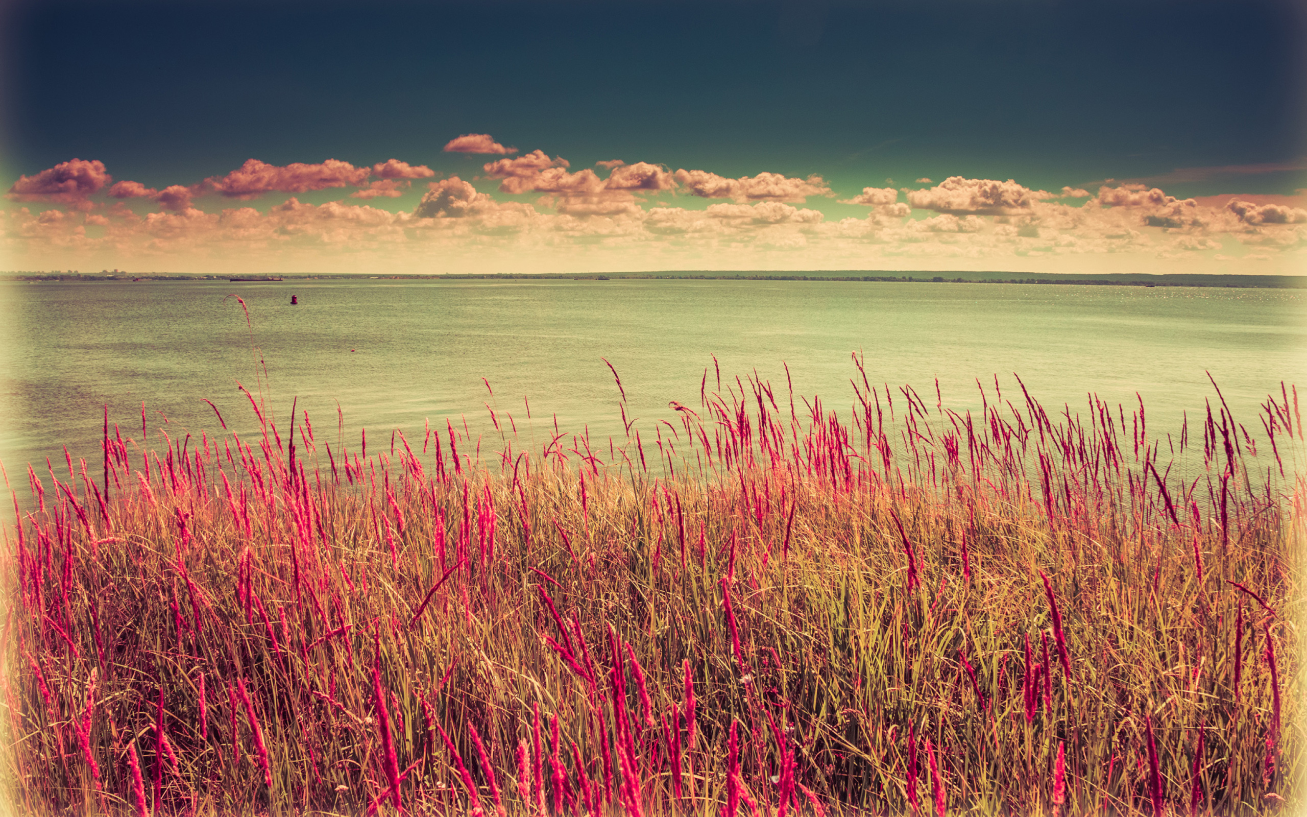 Fondo de pantalla Pink Landscape 2560x1600