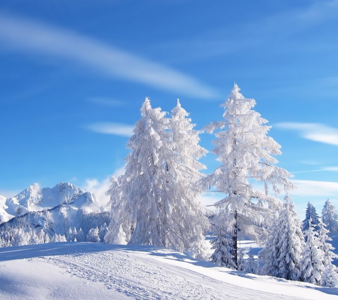 Das White Winter Wallpaper 1080x960