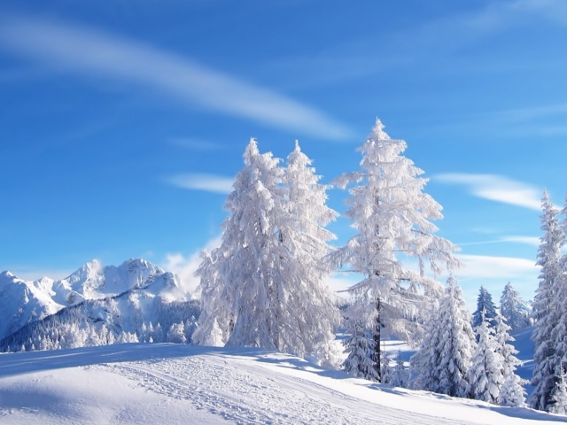 White Winter screenshot #1 640x480