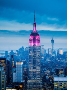 Обои Empire State Building in New York 132x176