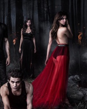 Sfondi The Vampire Diaries with Nina Dobrev 176x220