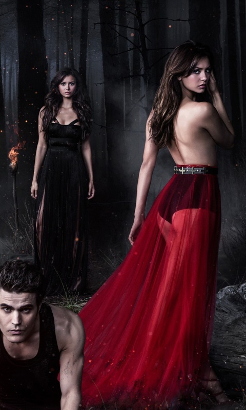 The Vampire Diaries with Nina Dobrev wallpaper 480x800