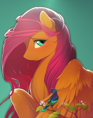 Free My Little Pony Picture for Samsung S5222R Rex 80