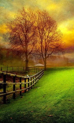 Fondo de pantalla Early Morning Fog 240x400