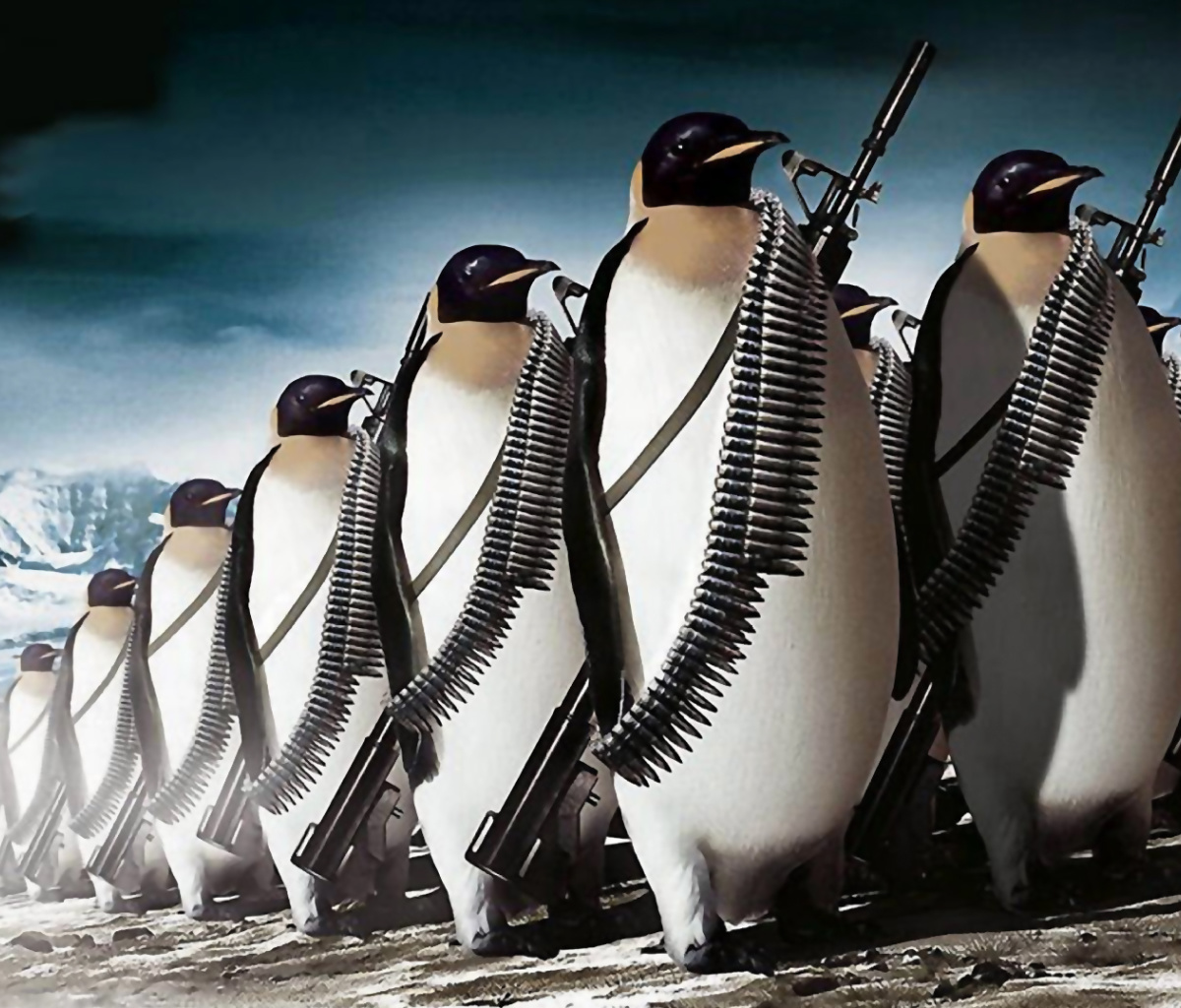 Fondo de pantalla Penguins Soldiers 1200x1024