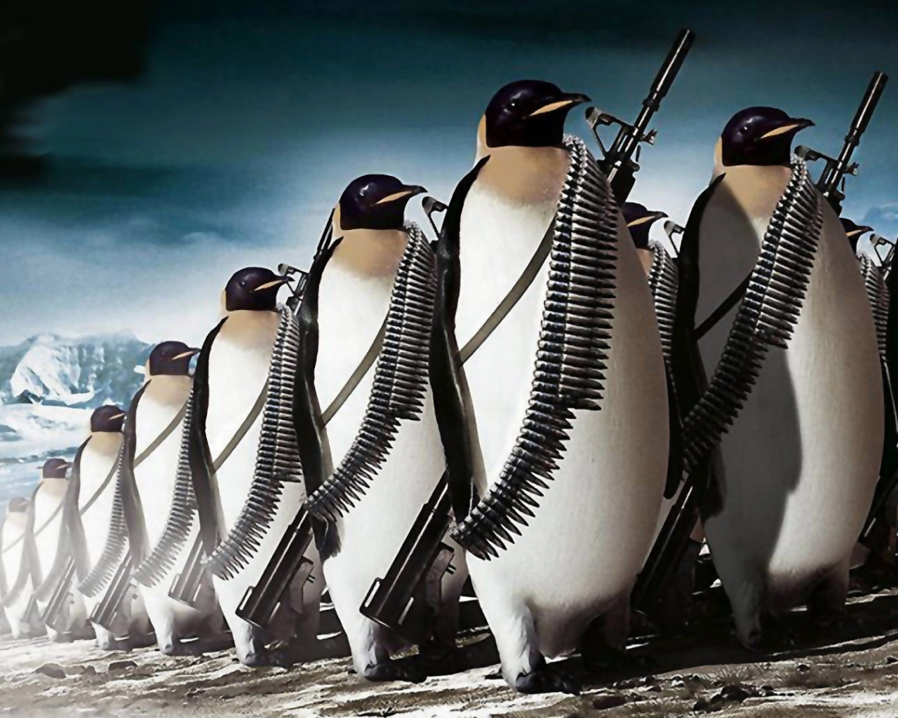 Fondo de pantalla Penguins Soldiers 1280x1024