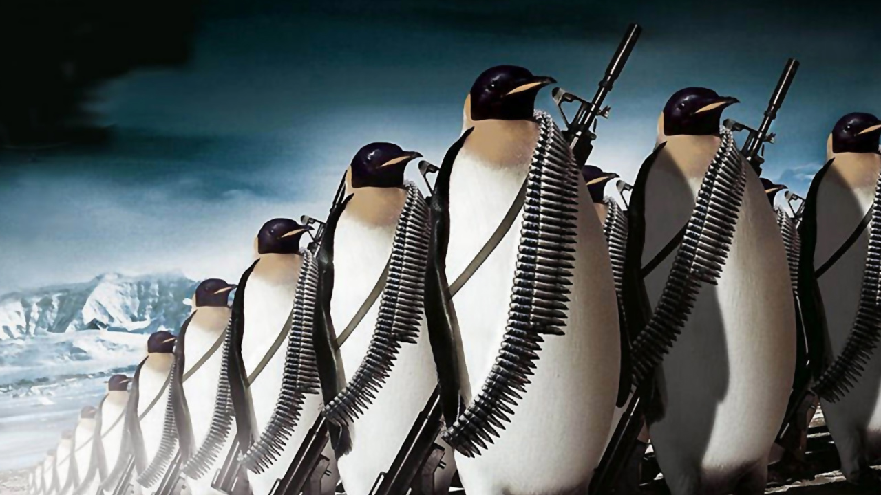 Fondo de pantalla Penguins Soldiers 1280x720
