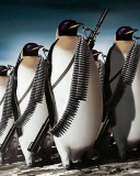 Fondo de pantalla Penguins Soldiers 128x160