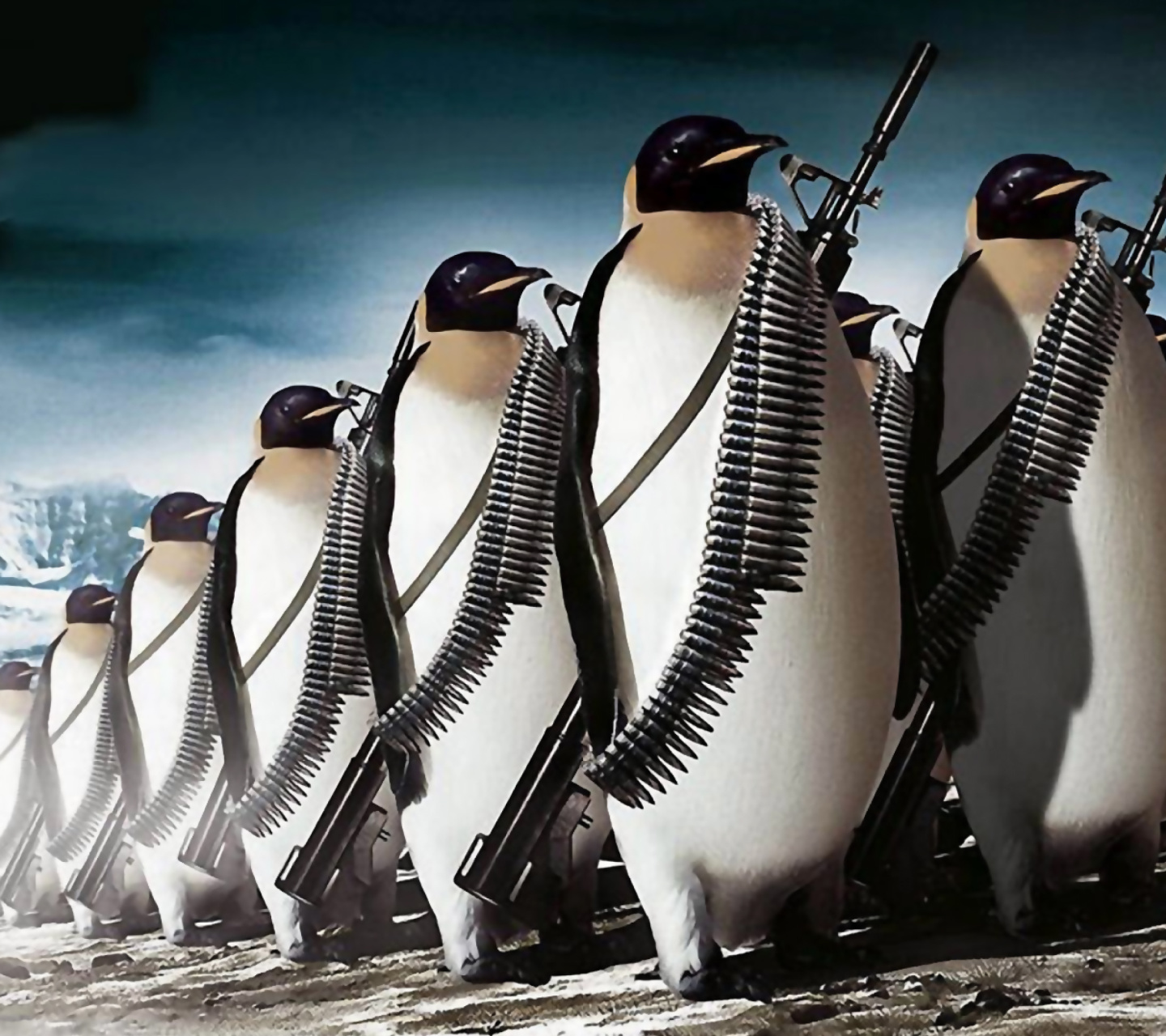 Fondo de pantalla Penguins Soldiers 1440x1280