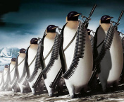 Das Penguins Soldiers Wallpaper 176x144