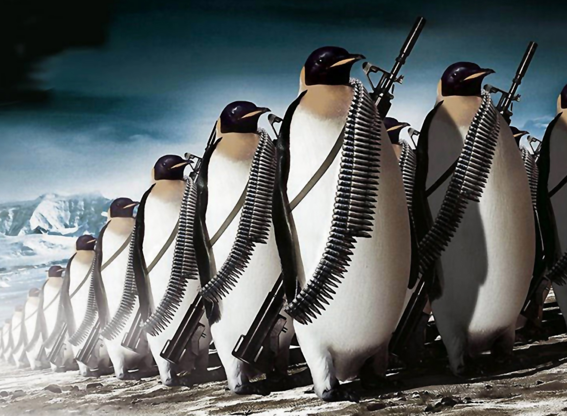Fondo de pantalla Penguins Soldiers 1920x1408