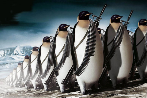 Penguins Soldiers wallpaper 480x320