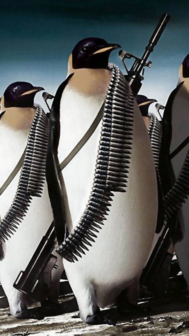 Fondo de pantalla Penguins Soldiers 640x1136