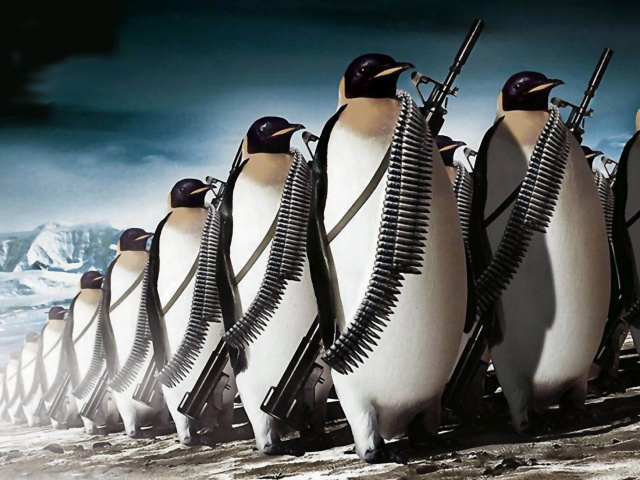 Fondo de pantalla Penguins Soldiers 640x480