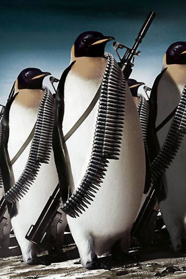 Fondo de pantalla Penguins Soldiers 640x960