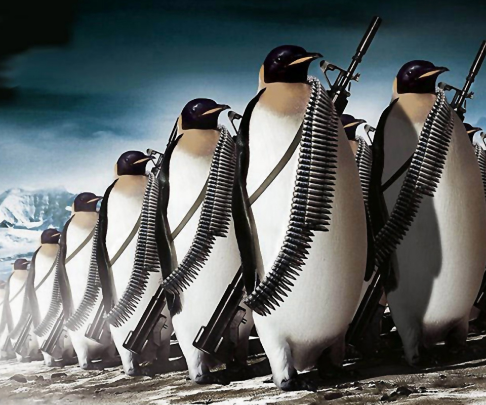 Fondo de pantalla Penguins Soldiers 960x800