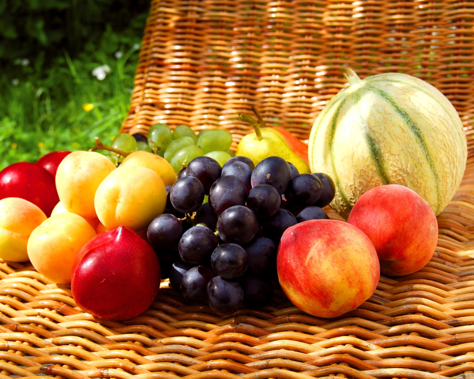 Melons, apricots, peaches, nectarines, grapes, pear wallpaper 1600x1280