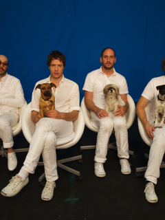 Fondo de pantalla OK Go 240x320