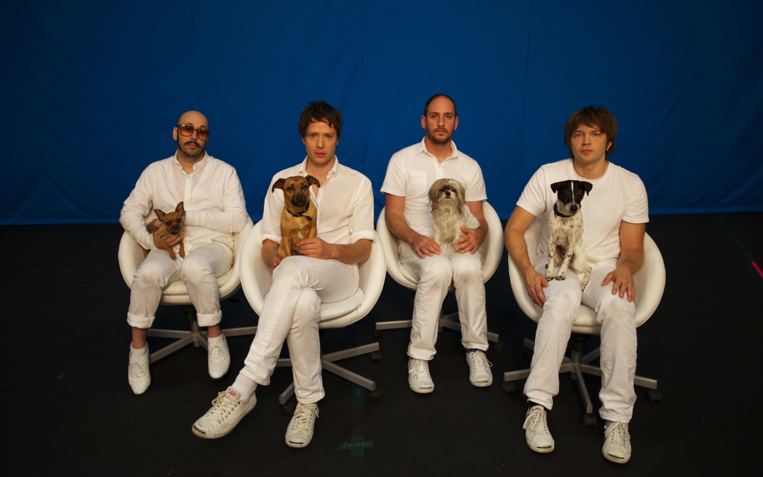 Das OK Go Wallpaper 2560x1600