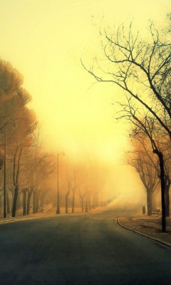 Autumn Road screenshot #1 240x400