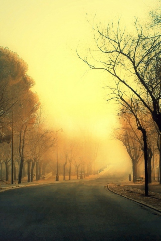 Autumn Road screenshot #1 320x480