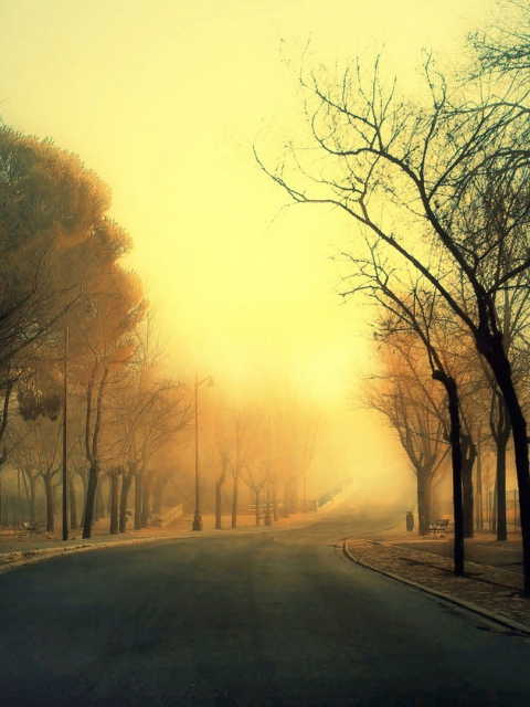 Autumn Road screenshot #1 480x640