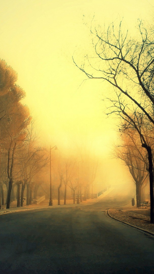 Autumn Road screenshot #1 640x1136