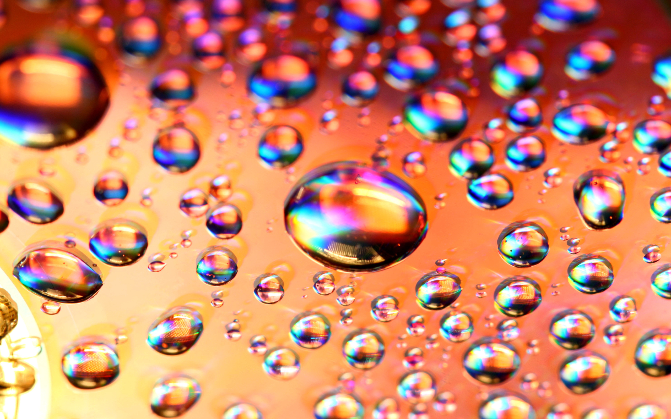 Fondo de pantalla Refraction in Water 2560x1600