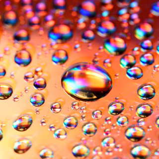 Refraction in Water - Fondos de pantalla gratis para 1024x1024