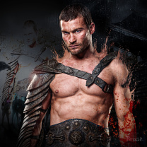 Обои Spartacus War of the Damned 208x208
