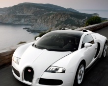 Fondo de pantalla Bugatti Veyron Grand Sport 220x176