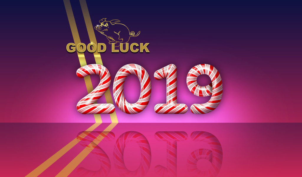 Das Good Luck in New Year 2019 Wallpaper 1024x600