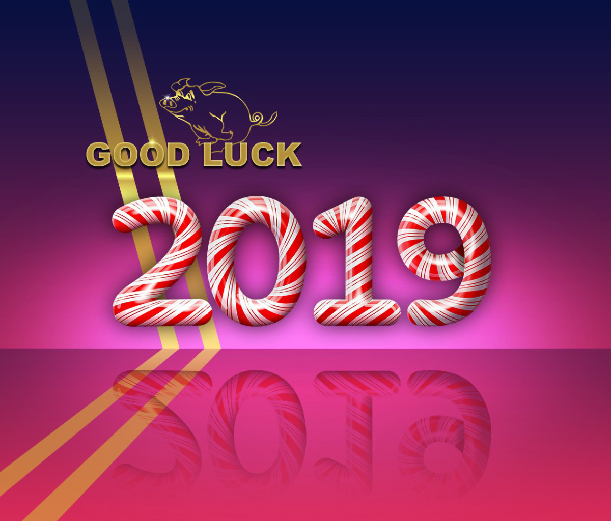 Sfondi Good Luck in New Year 2019 1200x1024