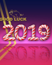 Sfondi Good Luck in New Year 2019 176x220