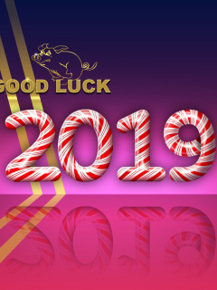 Das Good Luck in New Year 2019 Wallpaper 240x320