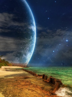 Magic Night wallpaper 240x320