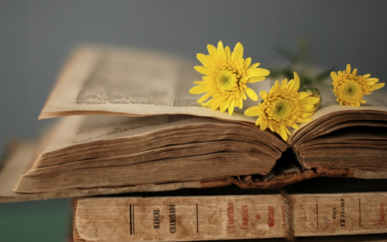 Old Book And Yellow Daisies wallpaper 1280x800