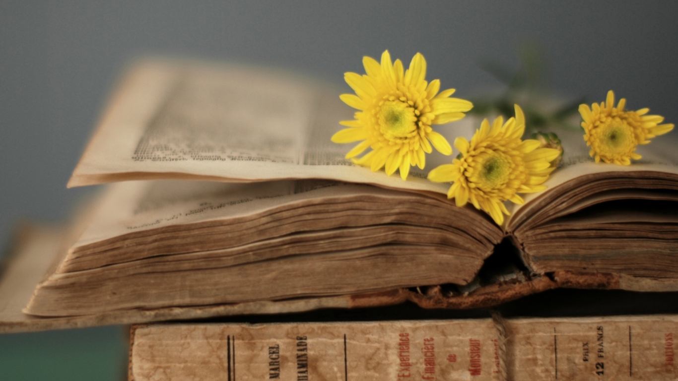 Old Book And Yellow Daisies wallpaper 1366x768