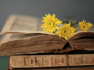 Old Book And Yellow Daisies wallpaper 320x240