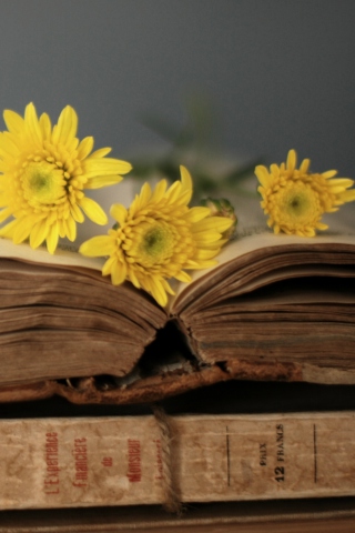 Old Book And Yellow Daisies wallpaper 320x480