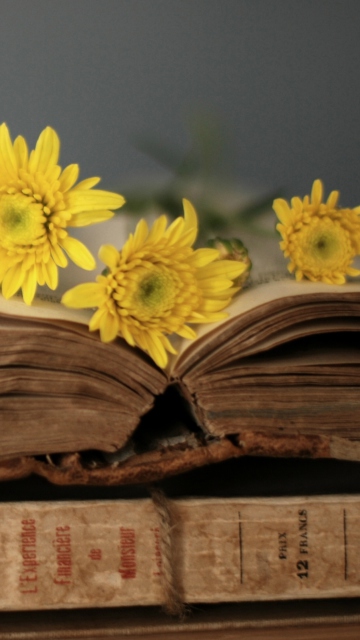 Das Old Book And Yellow Daisies Wallpaper 360x640