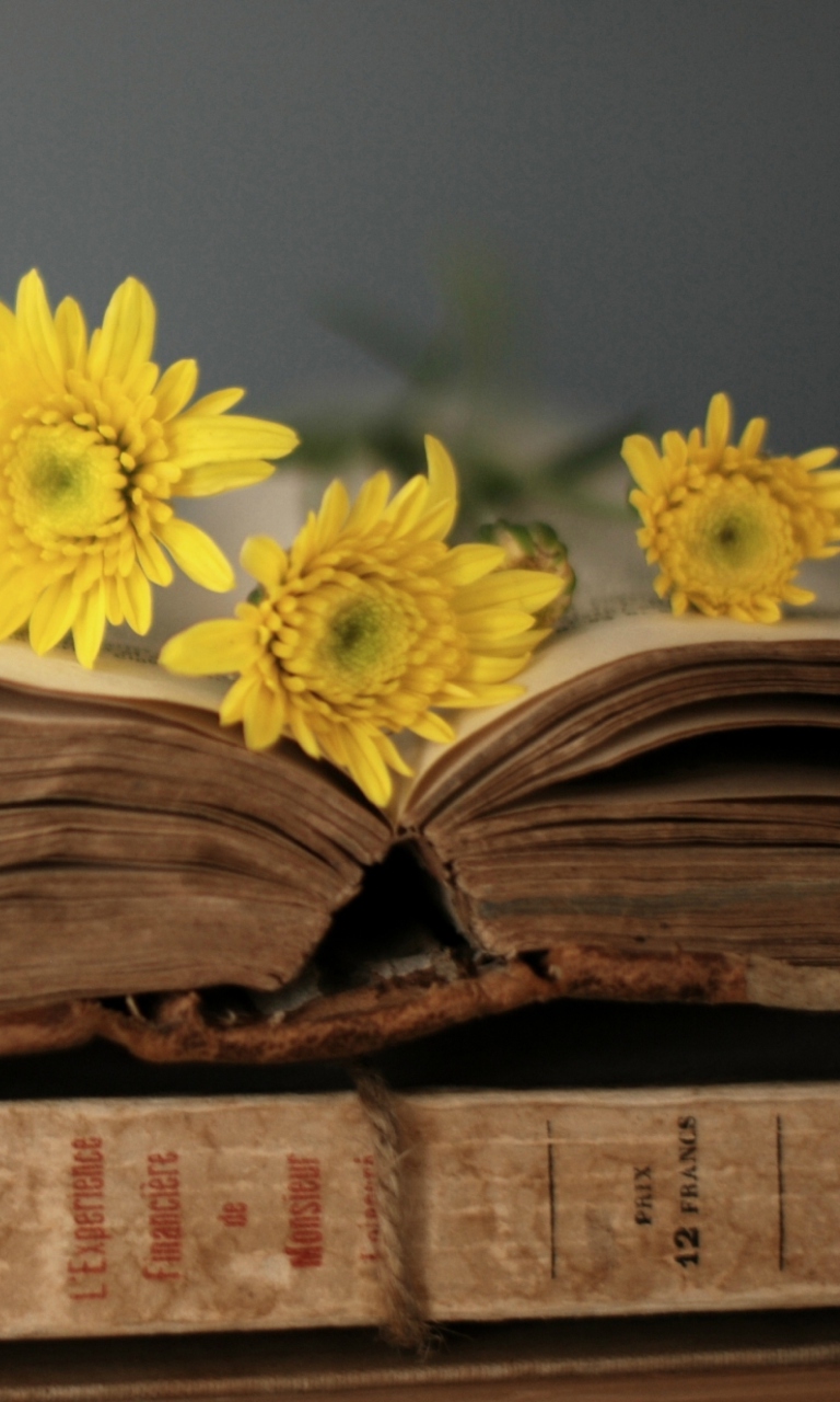 Old Book And Yellow Daisies wallpaper 768x1280