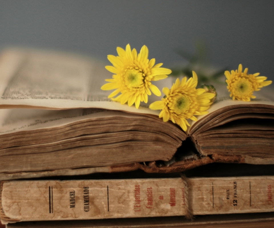 Old Book And Yellow Daisies wallpaper 960x800